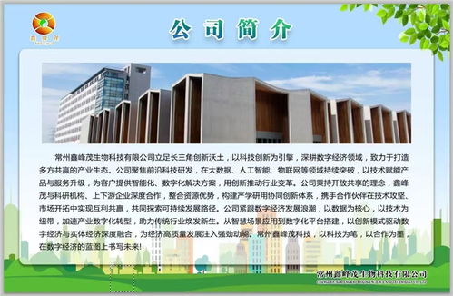 鑫峰茂 以技術(shù)服務(wù)為舟，奮力突破千層浪，勇者踏平萬(wàn)重山